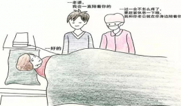 宫口漫画,揭秘宫廷秘闻，笑谈帝王生活